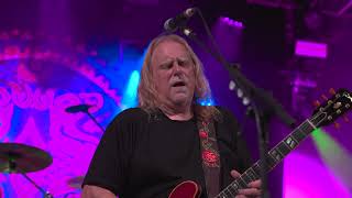 Govt Mule - If Heartaches Were Nickels (Live)
