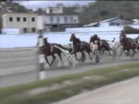 Trotto 04/05/2014 Corsa 5