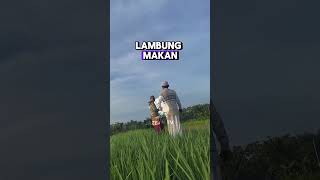 Download lagu Khawatir Otak dan Lambung Berdekatan Ustadz Abdul Somad #ustadzabdulsomad #jazbahtv #ceramahabdulsom mp3 Download lagu Khawatir Otak dan Lambung Berdekatan Ustadz Abdul Somad #ustadzabdulsomad #jazbahtv #ceramahabdulsom mp3