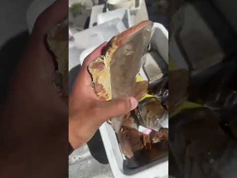 Os Cristais mais bonitos de Minas Gerais.