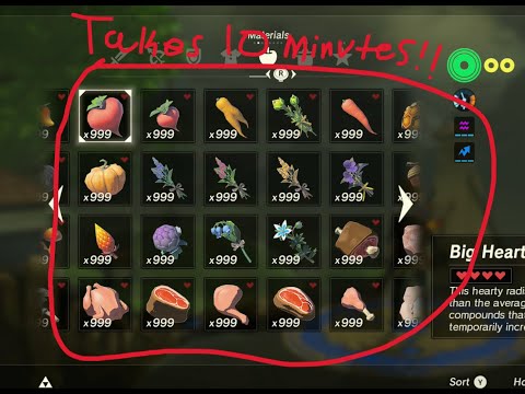 Breath of the Wild - Direct Inventory Corruption - 4x and 1x.