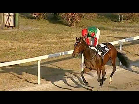 Sopran Belgrado vince per la prima volta