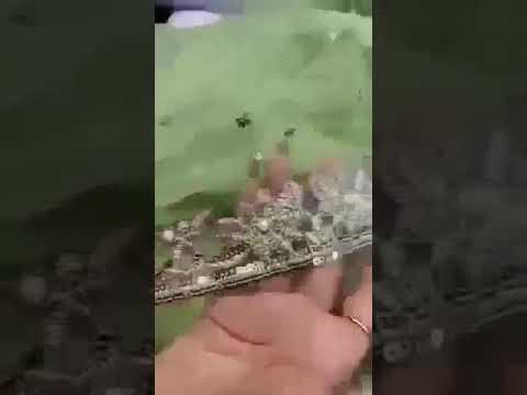 Original indian 4 pis nite chaile comment koru