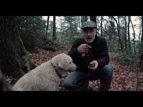 Frank Siffert - Truffe et trufficulture - truffesuisse.ch