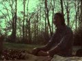 Midlake - "Rulers, Ruling All Things" Official ...