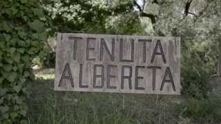 preview picture of video 'Tenuta Albereta'