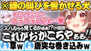 頻度の多い”スバおか”への自身の見解を話しイチャ付くたびに恥ずかしくなりスバルへ魂の言葉を何度も響かせるころさんｗ【猫又おかゆ 戌神ころね おかころ 大空スバル ホロライブ 切り抜き Vtuber】