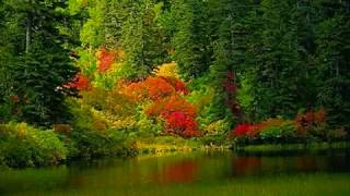 pat benatar - little paradise