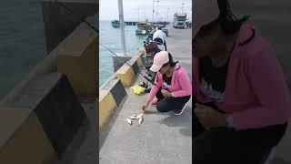 Download lagu mancing ambyar di pinggir dermaga #shorts mp3