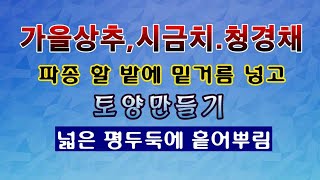 [텃밭농부 1,636]  가을상추. 시금치. 청경채 밭에 밑거름 넣고 토양만들기. 평두둑에 흩어 뿌림. #시…