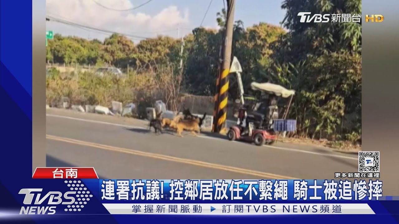 嚇壞!8旬翁騎乘代步車遭瘋狗包圍狂吠 動保處開罰了