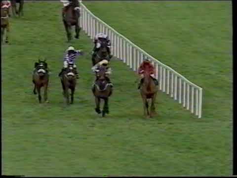 2001 - Leopardstown - Paddy Power Handicap Chase - I Can Imagine (R Tyner)