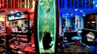 laberinto el regreso