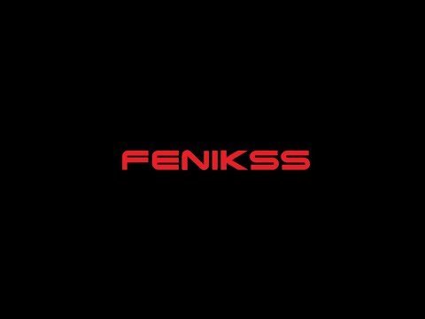 Unknown Artist - Fenikss