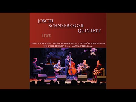 Swing de Vienne (Live)