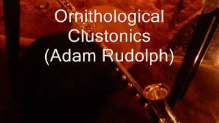 Ornithological Clustonics (Adam Rudolph) - Eldo Lauriano: Clarinetto Basso