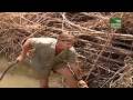 The Crocodile Hunter 01 Abenteuer In Sambia 05 10