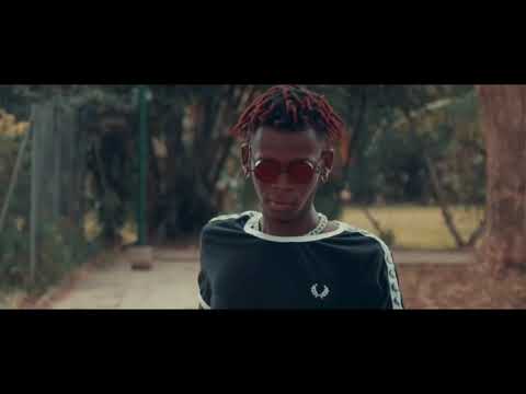 KING BONOBO   T’AS PAS COTA