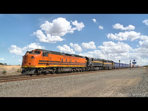 7922V SCT / SBR Dooen Container Train With CLF2 X31 C501 (17/3/2024) - PoathTV Railways