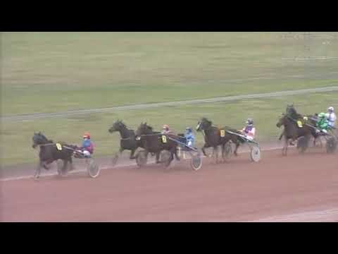 dutiful PRIX JAG DE BELLOUET Gr B Equidia