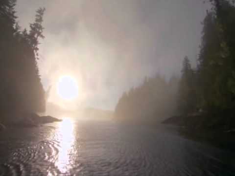 Compasso LIvre - Até quando