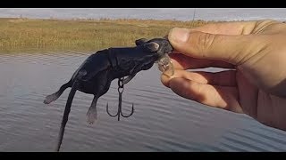 Приманки для осенняя щука на спиннинград