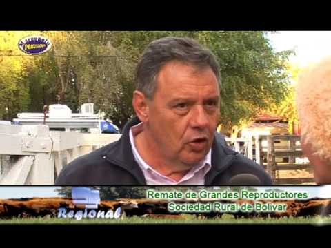 Angus Otoño en Bolivar,  Nota Gervasio Saenz Valiente