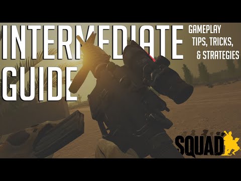 Squad 1.0 Intermediate Guide | Tips and Tricks for New and Experienced Players Alike
