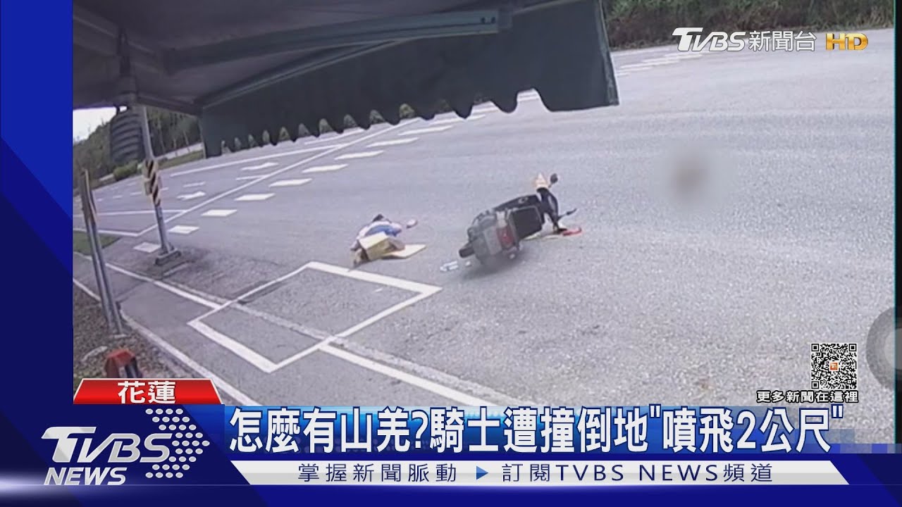 怎麼有山羌? 騎士遭撞倒地「噴飛2公尺」