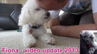 Fiona the blind dog - new video update 2013