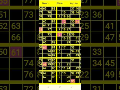 BingoTickets