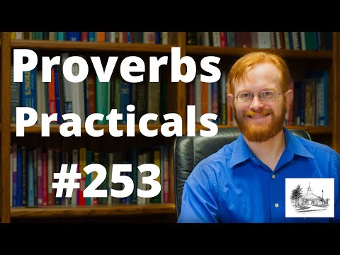 Punishment and Fools - Proverbs Practicals 253 - Proverbs 26:3