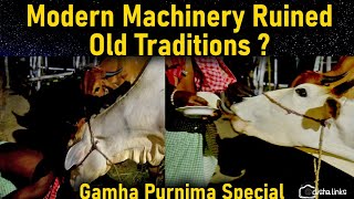 Has Modern Machinery Ruined Age Old Traditions ? Gamha Purnima Special | Raksha Bandhan | Village