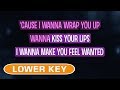 Wanted (Karaoke Lower Key) - Hunter Hayes