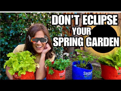 🍅LIVE: Don’t ECLIPSE Your Spring Garden (REPLAY)