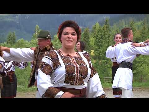 Nicoleta Hafiuc - Coragheasca