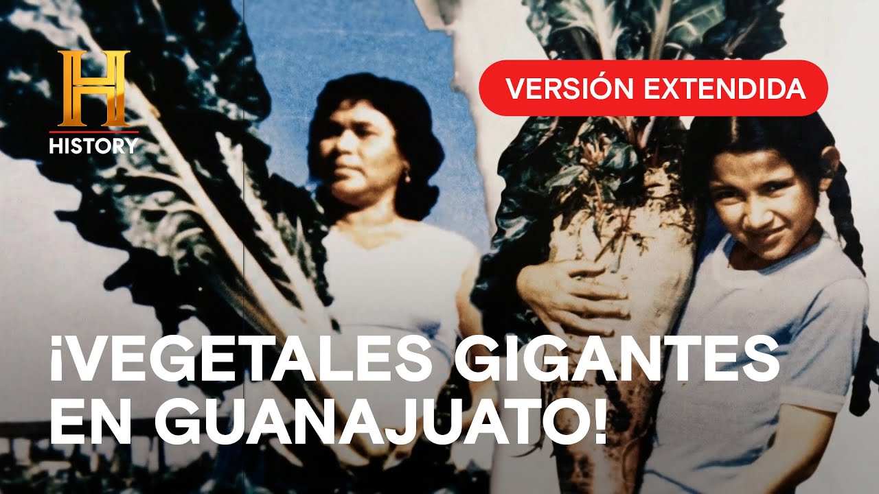 El País de las 7 Luminarias ¿Qué ocurre en Guanajuato?😯Inexplicable Latinoamérica 🎬Versión Extendida