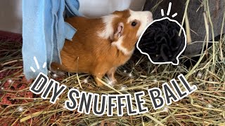 DIY Guinea Pig Snuffle Ball