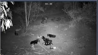 Thumbnail del capítulo