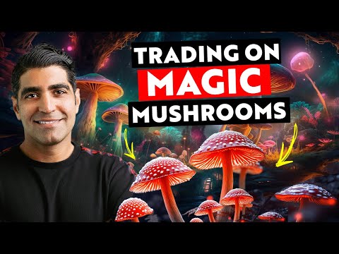 Day Trading Airlines on Magic Mushroom