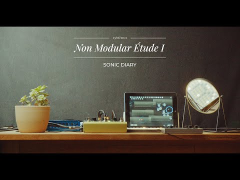 Non Modular Étude I | Strymon Volante + Monome Norns + Borderlands Granular + Neunaber Immerse Mk II
