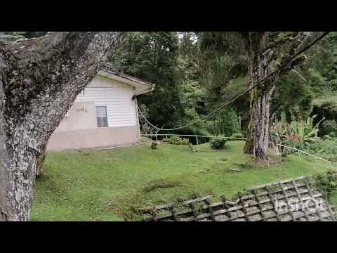 Chefoo, #Cameron Highlands