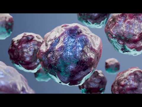 Understanding MDM2 Protein: The Guardian of the Genome