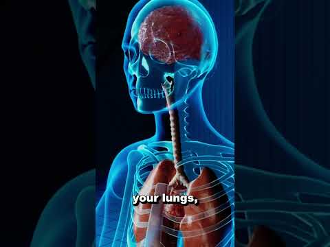 The Quietest Room In The World