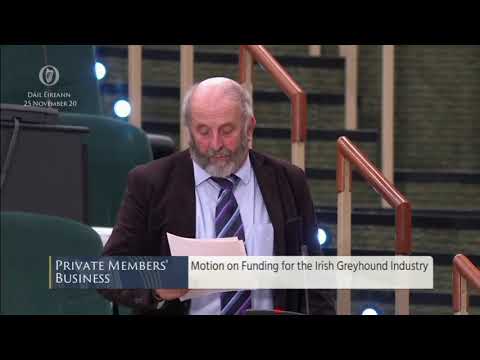 Danny Healy-Rae Defends Kerry Greyhound Owners and Welfare Funding