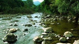 Bhavani River in Attappady, Palakkad 