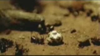 Tanz Mit Laibach &amp; Links 234 (MIX) (Laibach / Rammstein)