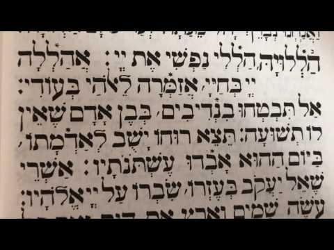 Tefilah 9 Halleluka, Haleli Nafshi - Prayer - Sharchris - תפילה 9 הללו׳ הללי נפשי – שחרית