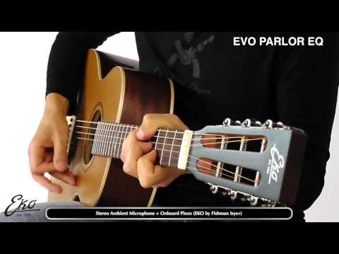 EVO Parlor EQ Massimo Varini presenta Eko Guitars