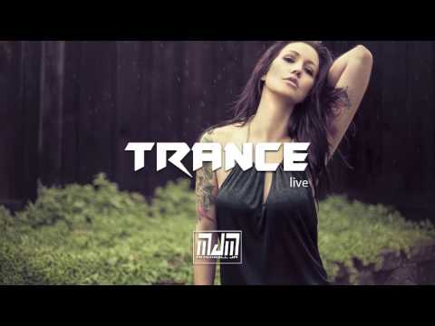 Dmitry Belokrinitsky - My Angel (Radio Edit)